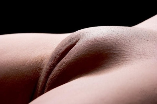 camel toes 21